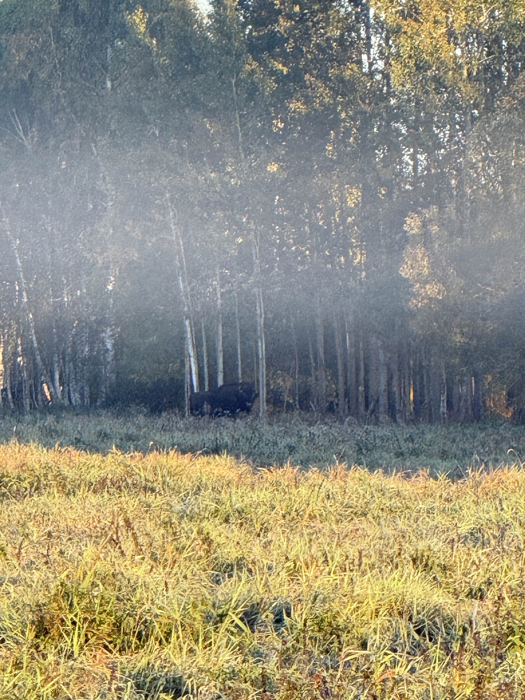 Данной экскурсией остались довольны! С непривычки так рано вставать было непросто, но это того однозначно стоило