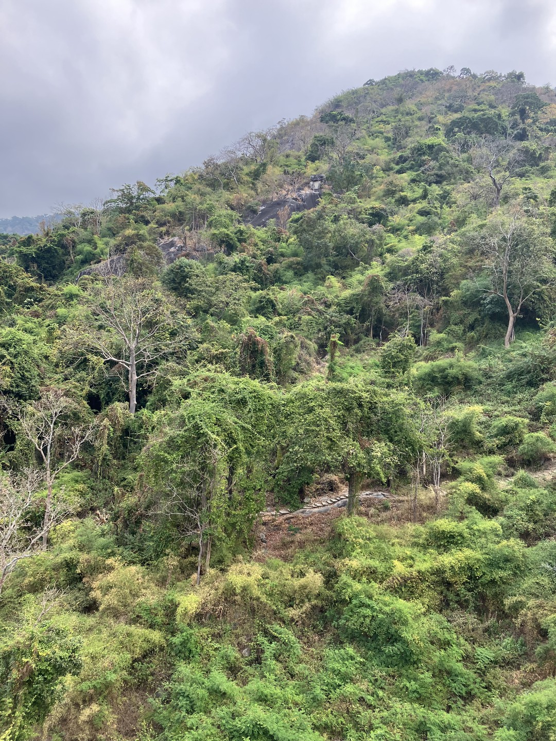 Приятное впечатление произвело и само посещаемое место (на горе Таку были впервые), и гид Александра. Понравилось
