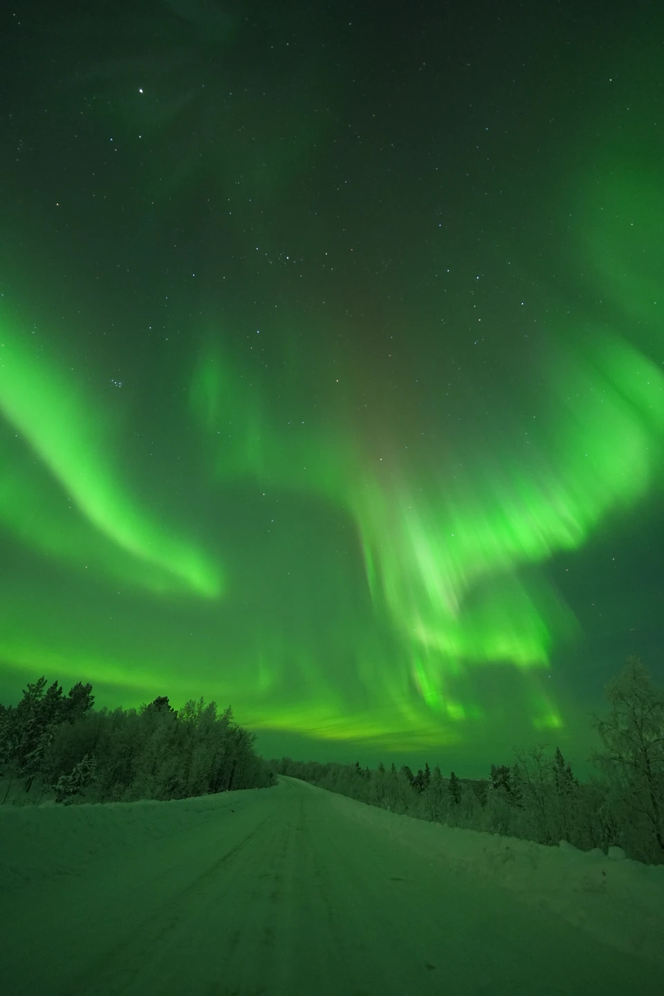 11.01 была охота за северным сиянием с Виталием, всё было великолепно, комфортная поездка с горячим чаем