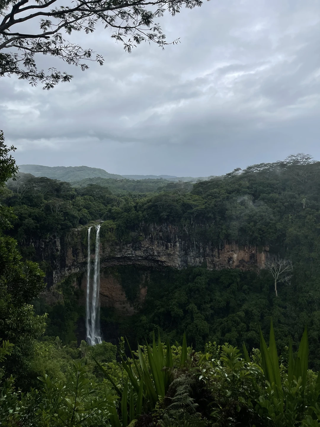 Все прошло просто шикарно. Рекомендую!