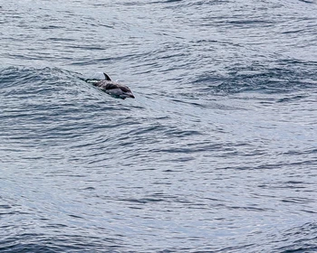 Кунашир и прибытие на Шикотан, закат у Малокурильского маяка