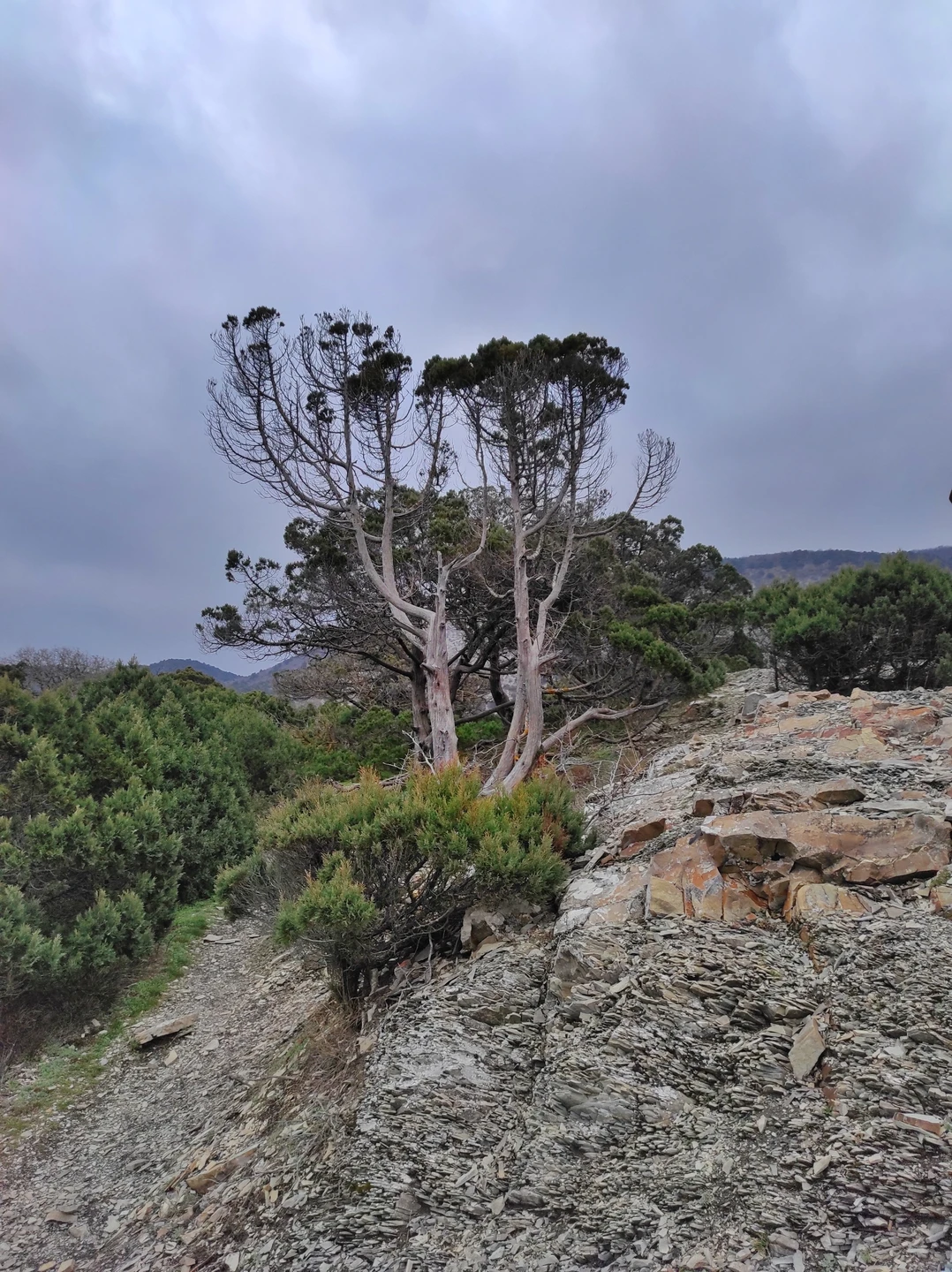 Побывали на экскурсии в Большом Утрише с Дмитрием. Экскурсия, несмотря на не совсем комфортные погодные условия