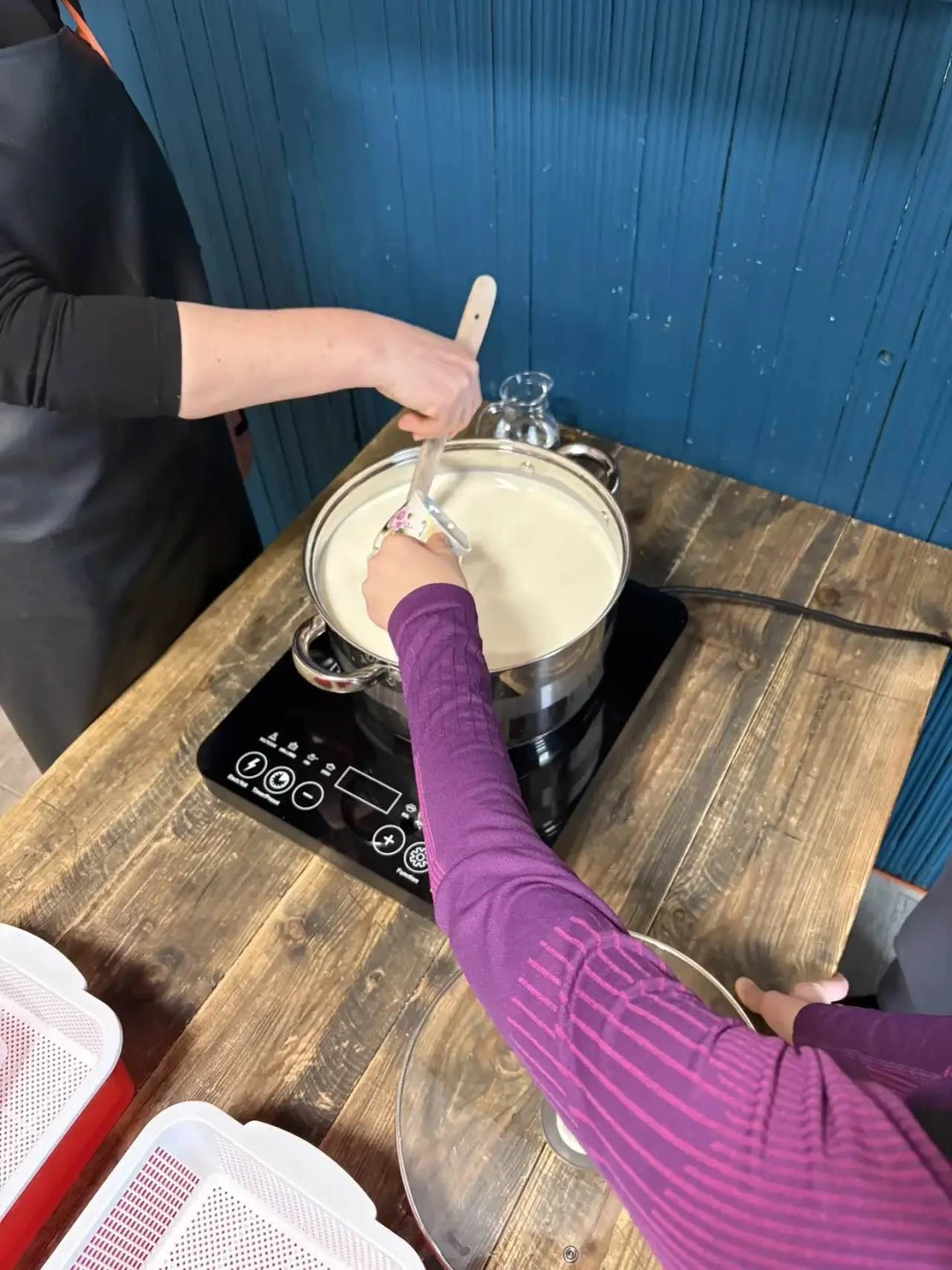 Мастер-класс по сыроделию в окрестностях Пскова (Диана)