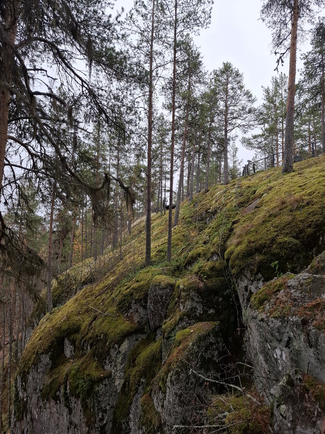 По прекрасной карельской природе с хорошим и очень погруженным в своё дело гидом, всё понравилось 👌🏻