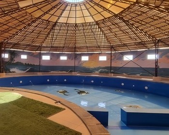 Релакс в бассейне и возвращение в Алматы