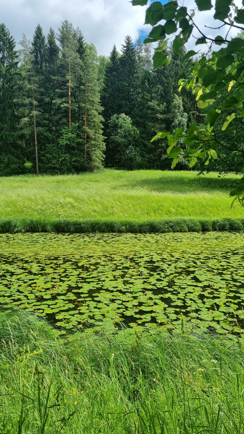 Семейная экскурсия-квест по Павловскому парку (Наталья)