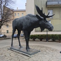 Фото отзыва 7: экскурсия "Советск, Неман и&nbsp;Черняховск&nbsp;— тайны и&nbsp;легенды трёх городов (из Калининграда)"