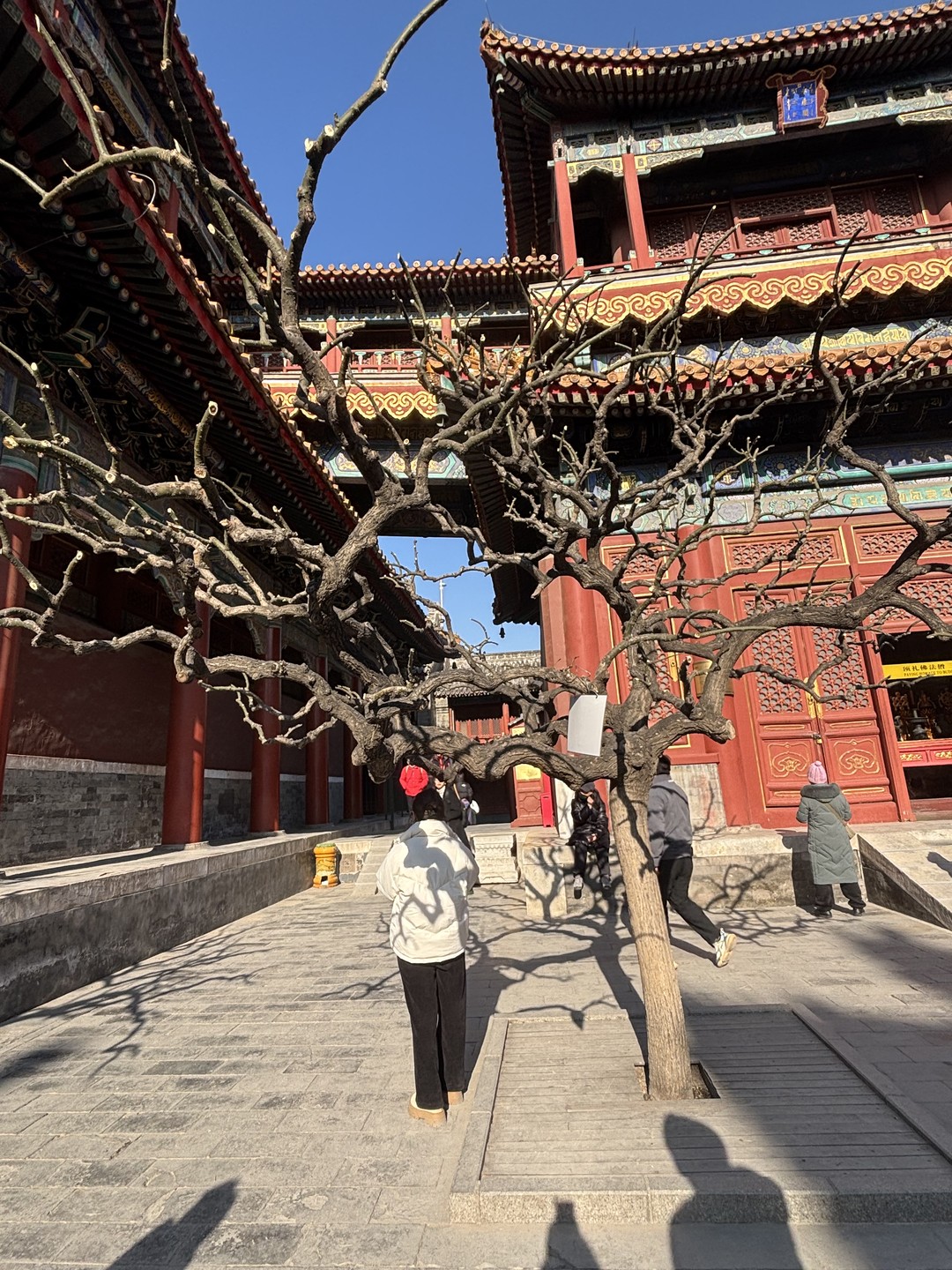 Пекинские хутуны у подножия небоскрёбов (Юлия)