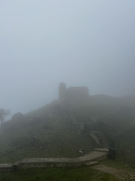 Спасибо большое! Было очень интересно, красивые виды, много узнали нового о прекрасной стране Азербайджан! 🌸