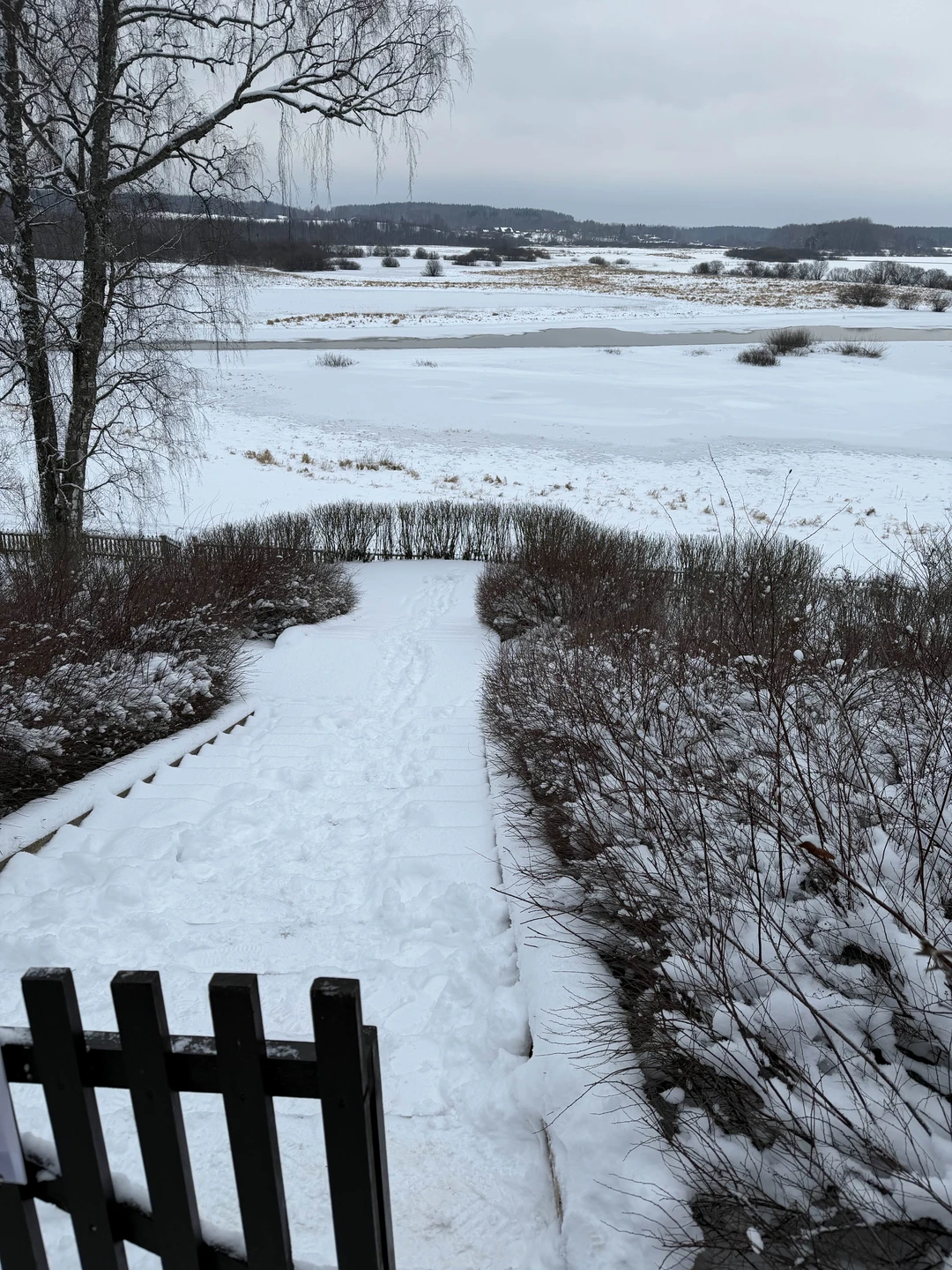 Экскурсовод Юлия Владимировна Дайнеко- это невероятный человек, который читает всего Пушкина наизусть! Это потрясающе, впечатления от