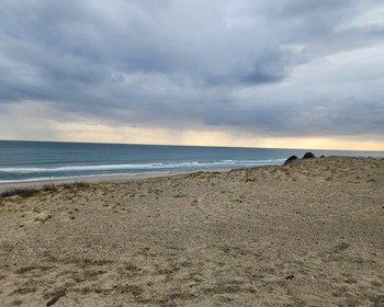 Прибытие в Хамамацу