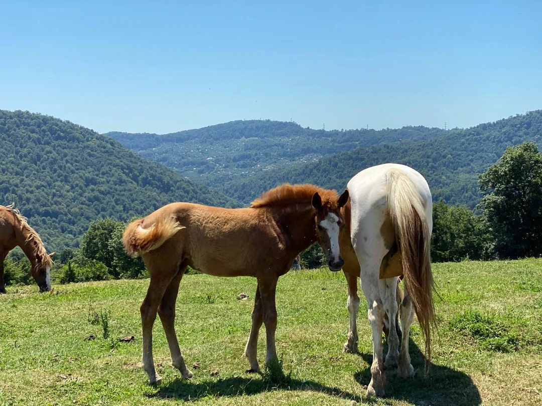 Владу огромное спасибо!