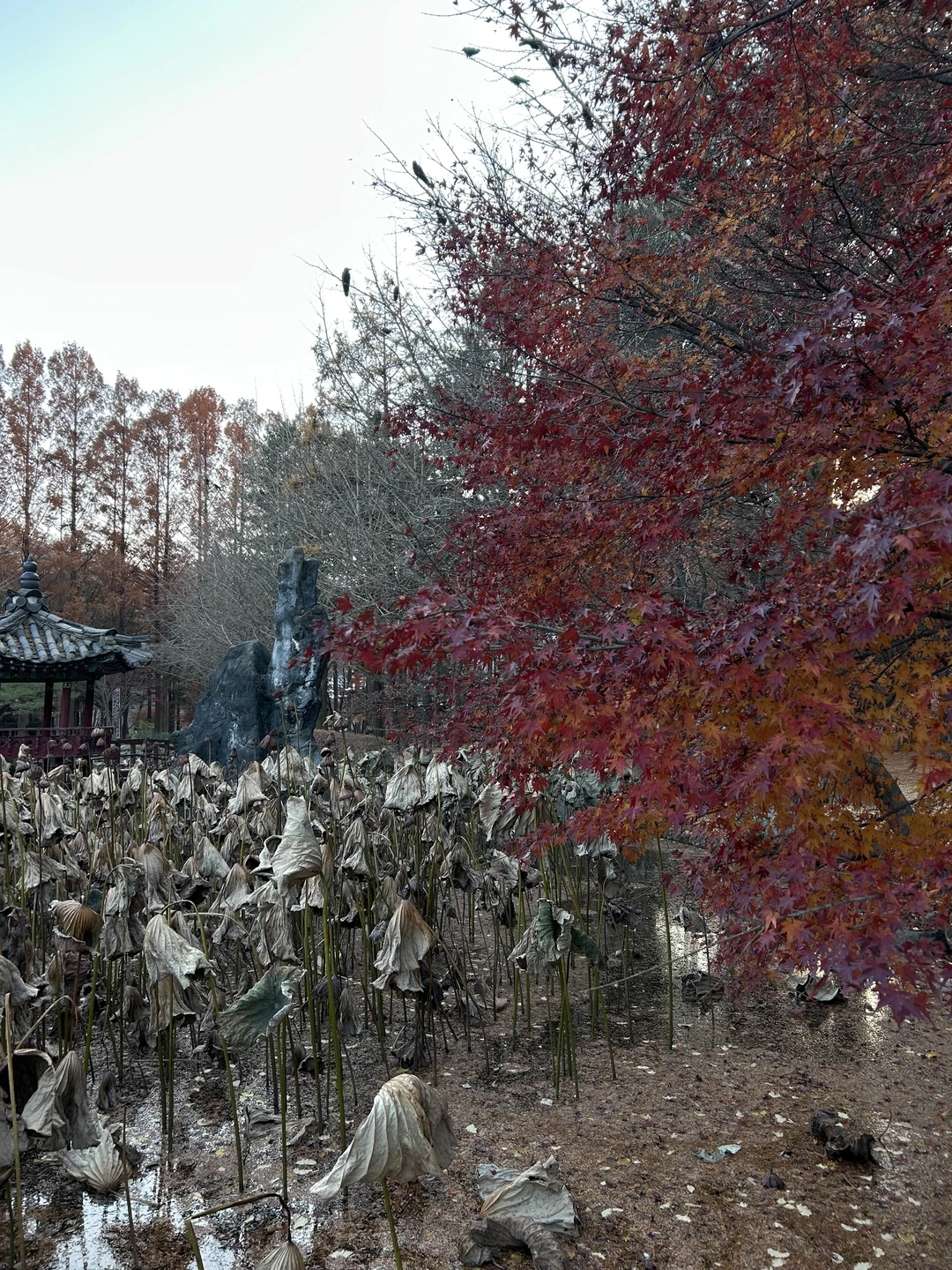 Нам очень понравилась экскурсия. Вячеслав - молодец. Очень вежлив и тактичен! Много рассказывал про Корею! Время пролетело незаметно