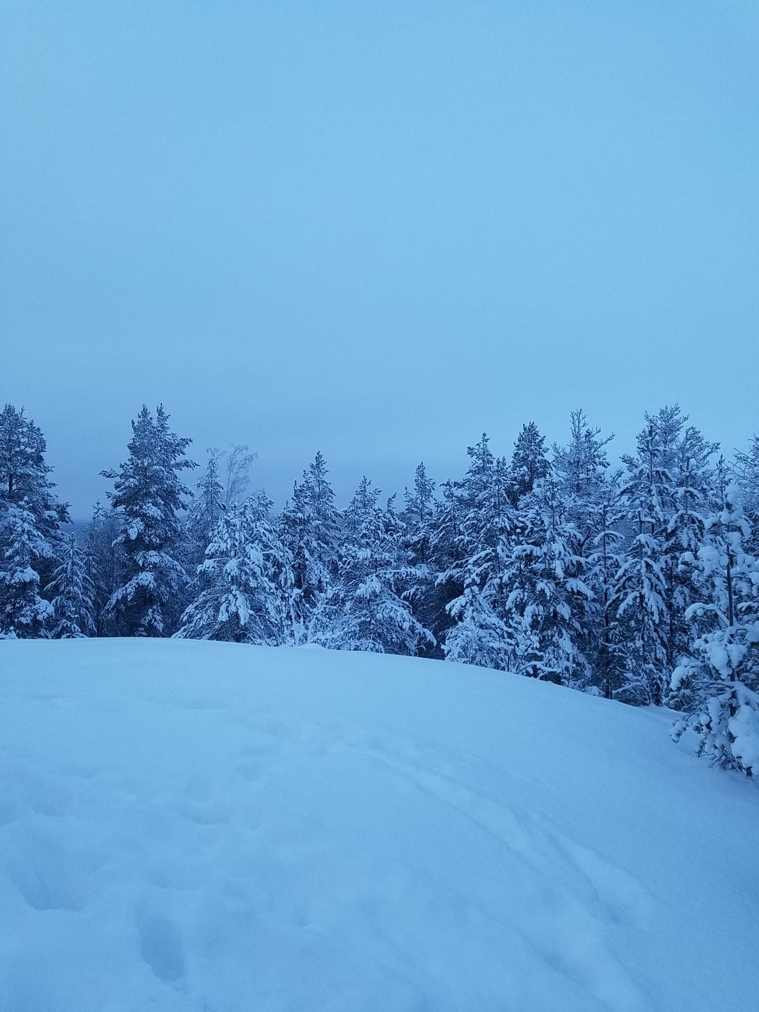 Путешествие на Урозеро удалось! Все началось ранним утром! Катюша, большая умница! Организовала удобную большую машину, чтобы
