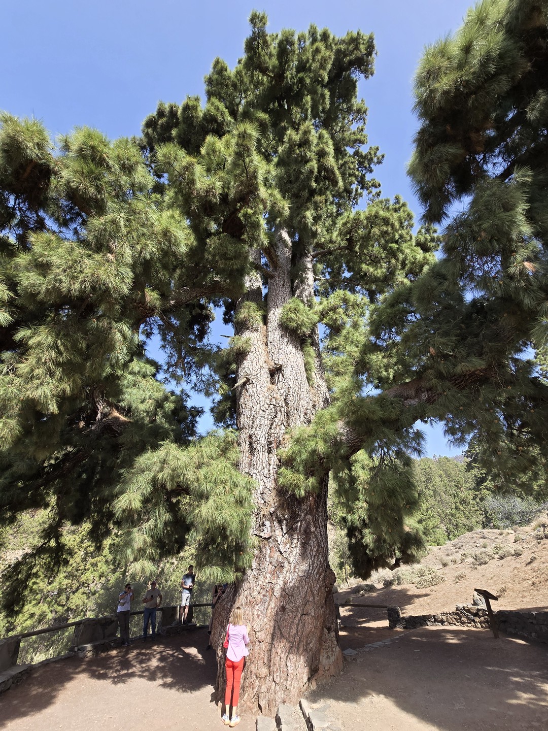 Руслан, спасибо ещё раз огромное за отменную экскурсию!!! Все пролетело на одном дыхании и, не смотря
