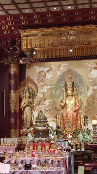 Светлана великолепный гид❤️