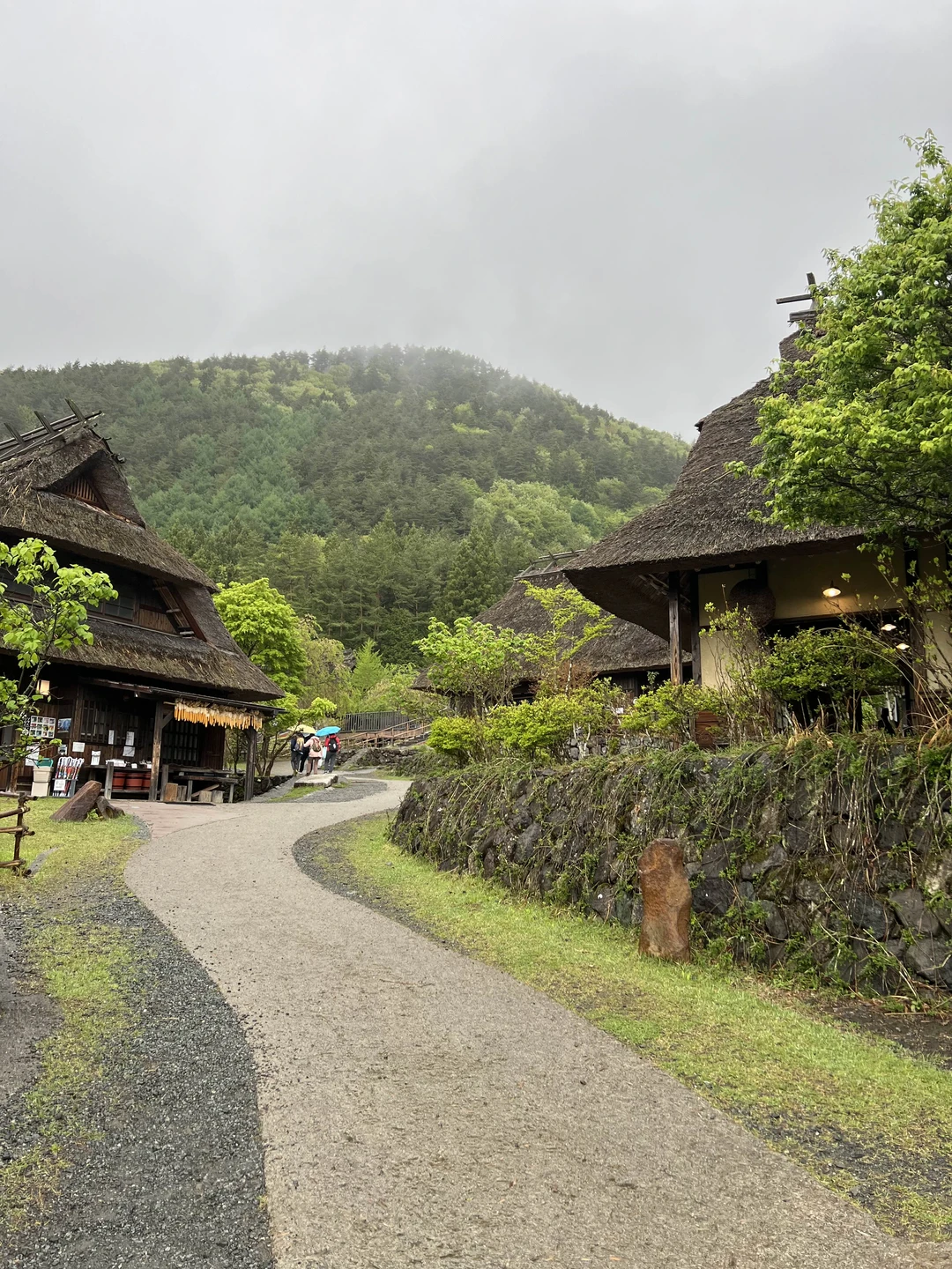 Это была наша первая поездка с мужем в Японию. Конечно же мы хотели успеть посмотреть и