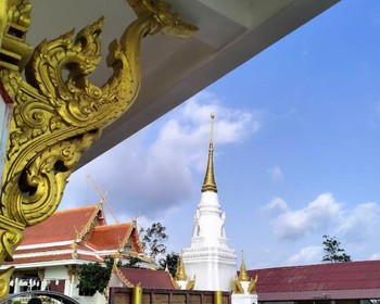 Встреча, размещение, первые мили