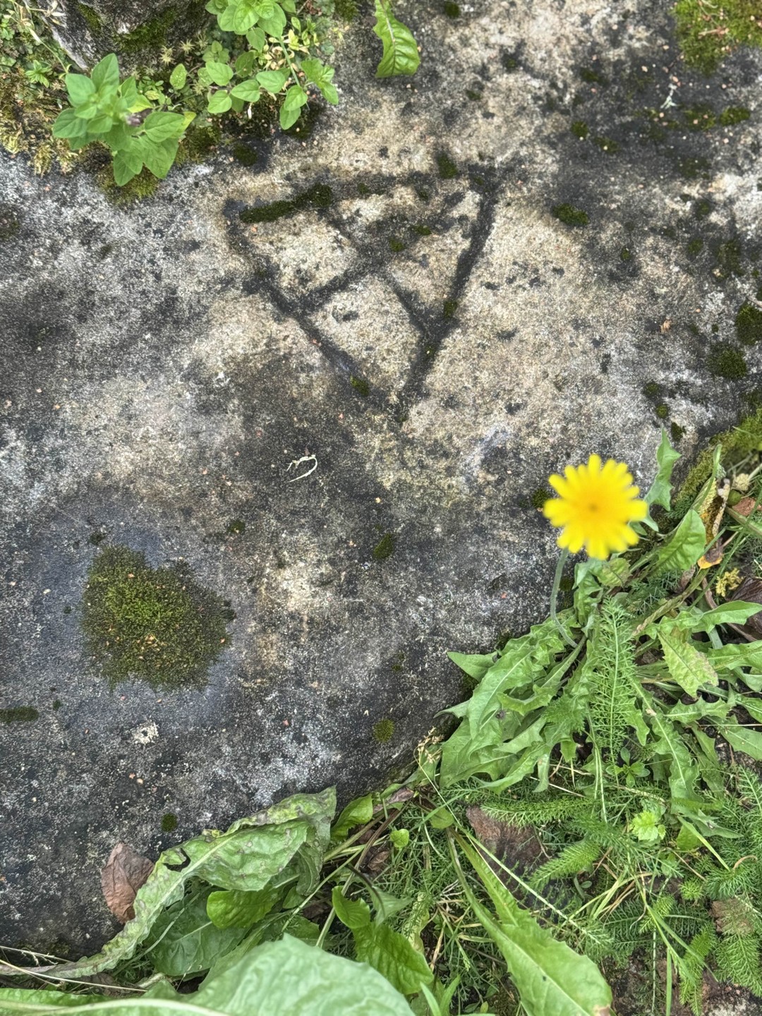 Древняя Русь без тоски: Изборск (Елизавета)