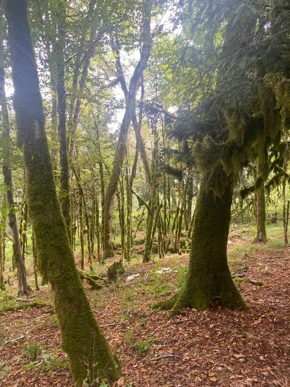 24.08.24 прошли треккинг вместе с женой к каньону Белые скалы, нашем гидом был Юрий. Хотим сказать