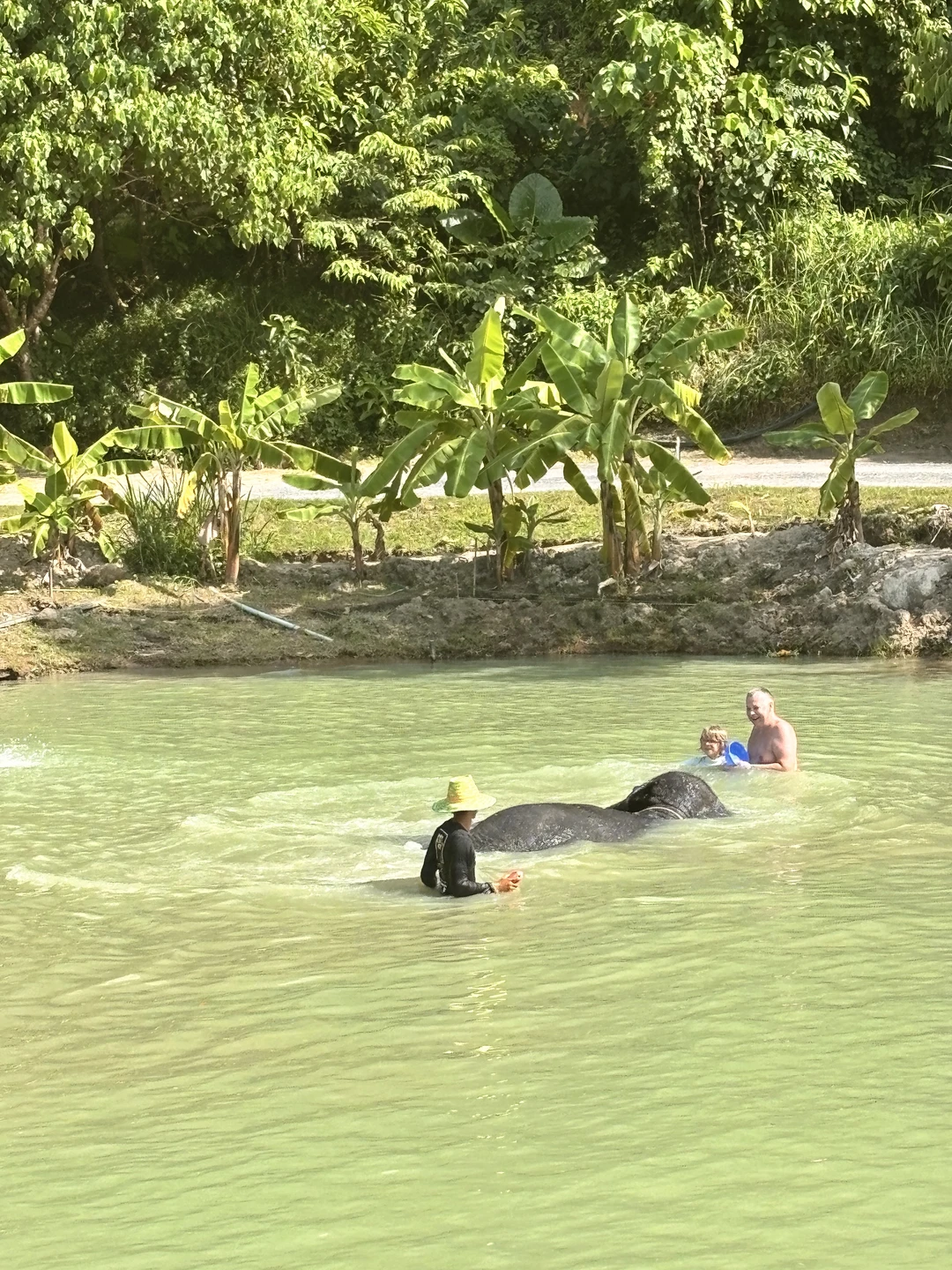Большое спасибо хочется выразить Сабри, за прекрасно организованную экскурсию в слоновник! Сабри оказался глубоким знатоком как