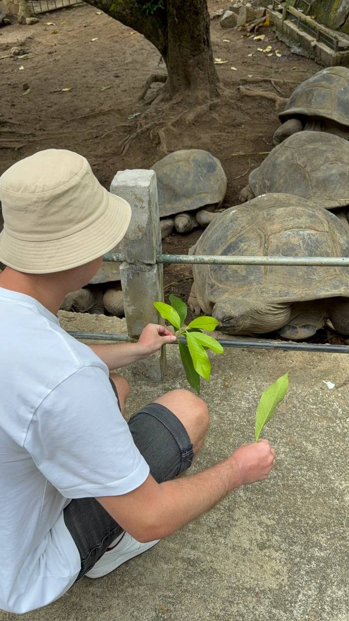От всей души советую данную экскурсию и огромная благодарность Кате за то, что нам её провела!