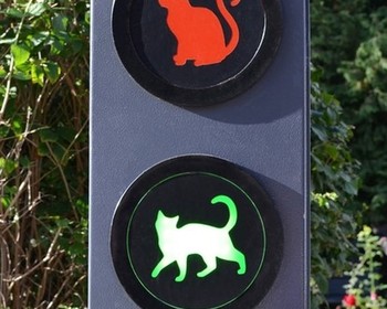 Фото отзыва 4: авторский тур "Гастропраздник на берегах Балтики: День селёдки с дегустациями рыбных специалитетов"