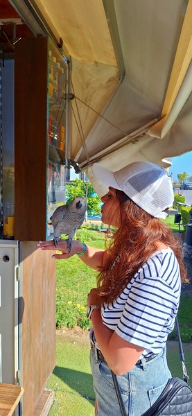 Прекрасная прогулка по Марине, с заходом в Эль Мина и рыбный рынок. Очень комфортная атмосфера