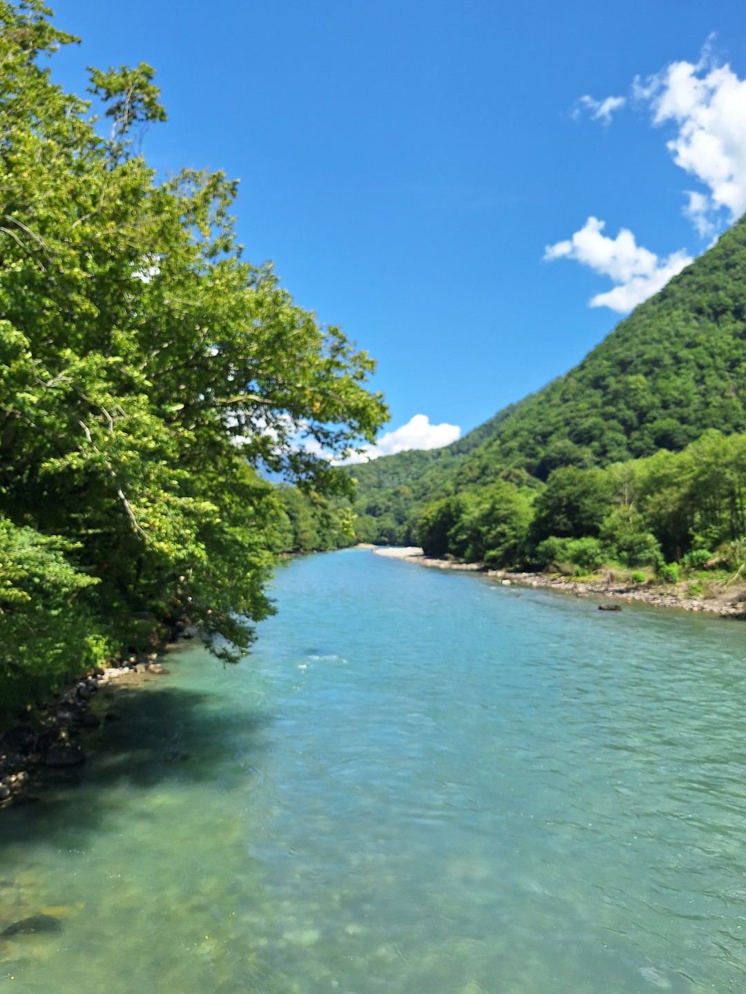 Абхазский драйв: озеро Рица и Гегский водопад (Яна)