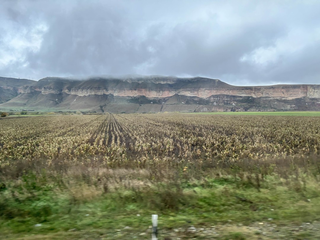 Домбай - край горных великанов и пихтовых лесов: поездка из Пятигорска (Анна)