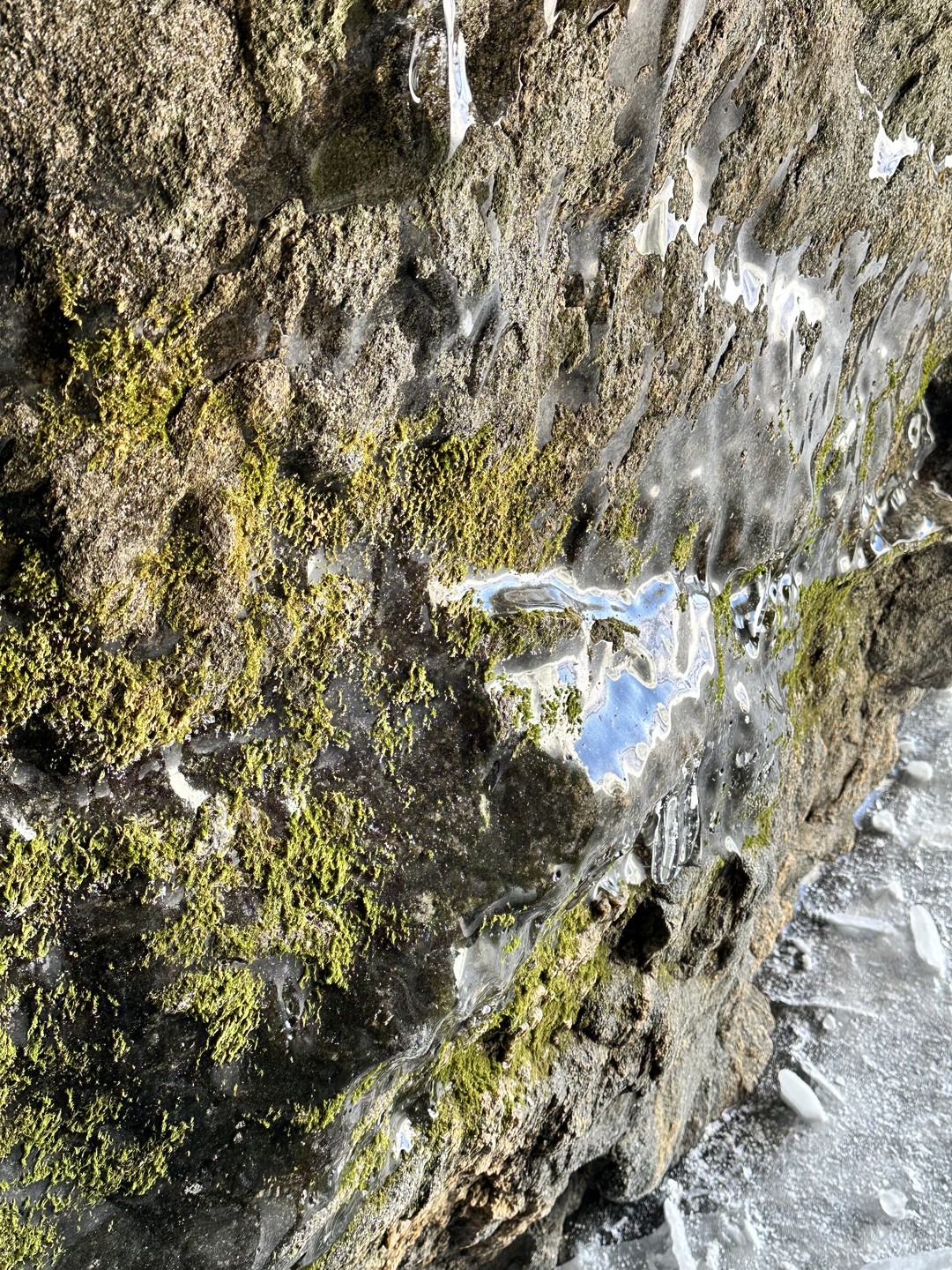 Экскурсия прошла замечательно. Видно, что экскурсовод действительно горит своим делом, стремится показать интересные места и заинтересован