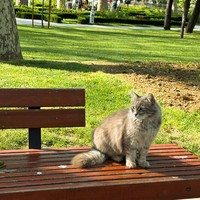 Фото отзыва 2: экскурсия "Османские реликвии вечернего Стамбула (без очередей)"