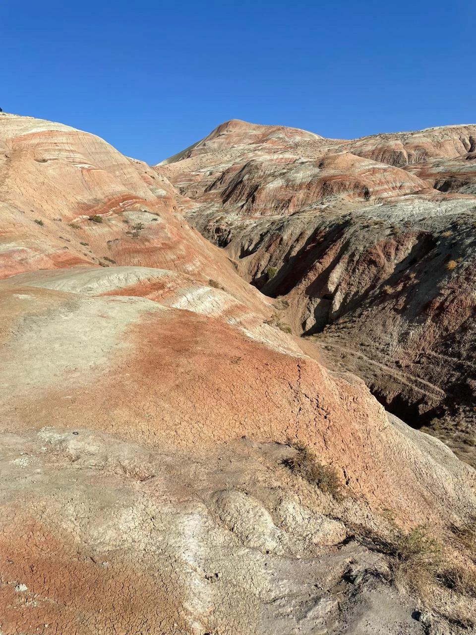 Отличная экскурсия, которую для нас провел гид Лачин. Большая благодарность гиду! Понравилось все: и сервис (включая