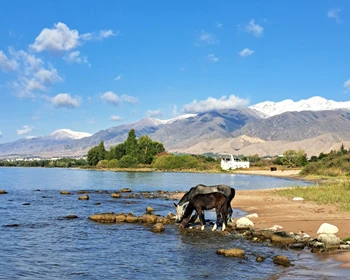 Экскурсия по Караколу, культурный центр и прогулка на парусной яхте