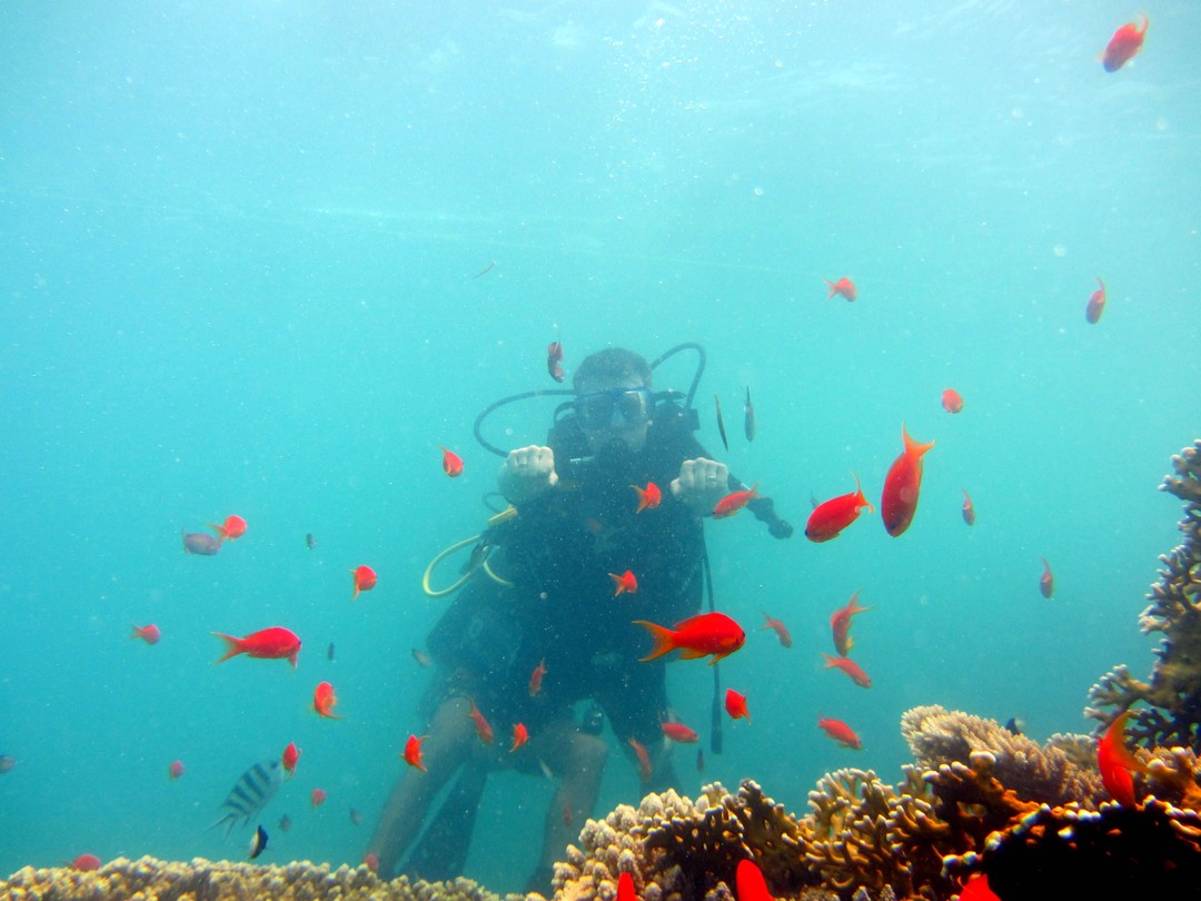 Дайвинг в фантастическом Красном море (Сергей)