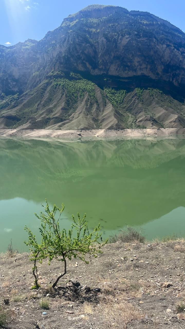 Мы провели прекрасные три дня в компании Магомеда! Красоту Дагестана не передать словами, дух захватывает от