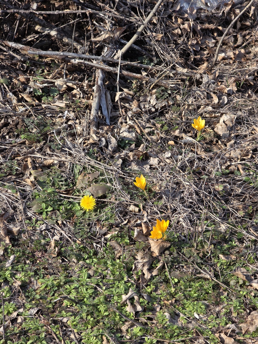 Прекрасное сопровождение! Долгая поездка была комфортной. Вам предложат "зеленые остановки", есть вода в машине для каждого
