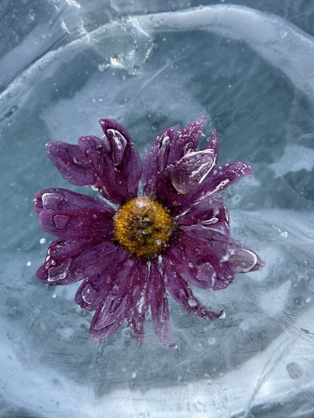 Отличная экскурсия! Всё чётко по плану: комфортный трансфер, грамотный гид, насыщенная программа. Это была не просто