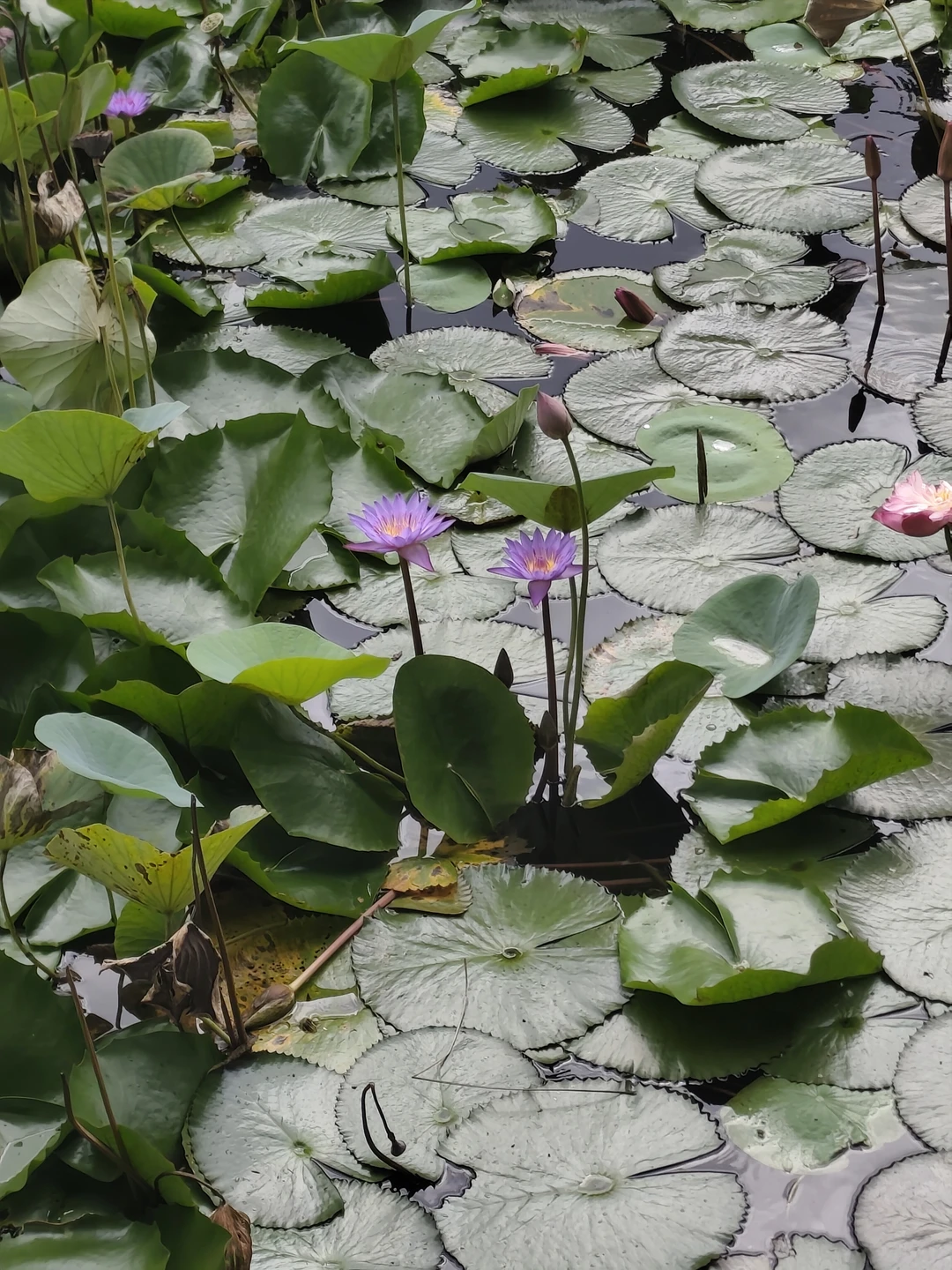 Были на экскурсии 22.11.2025. Наш гид Рифай проявил себя на высшем уровне: отличная организация, пунктуальность и