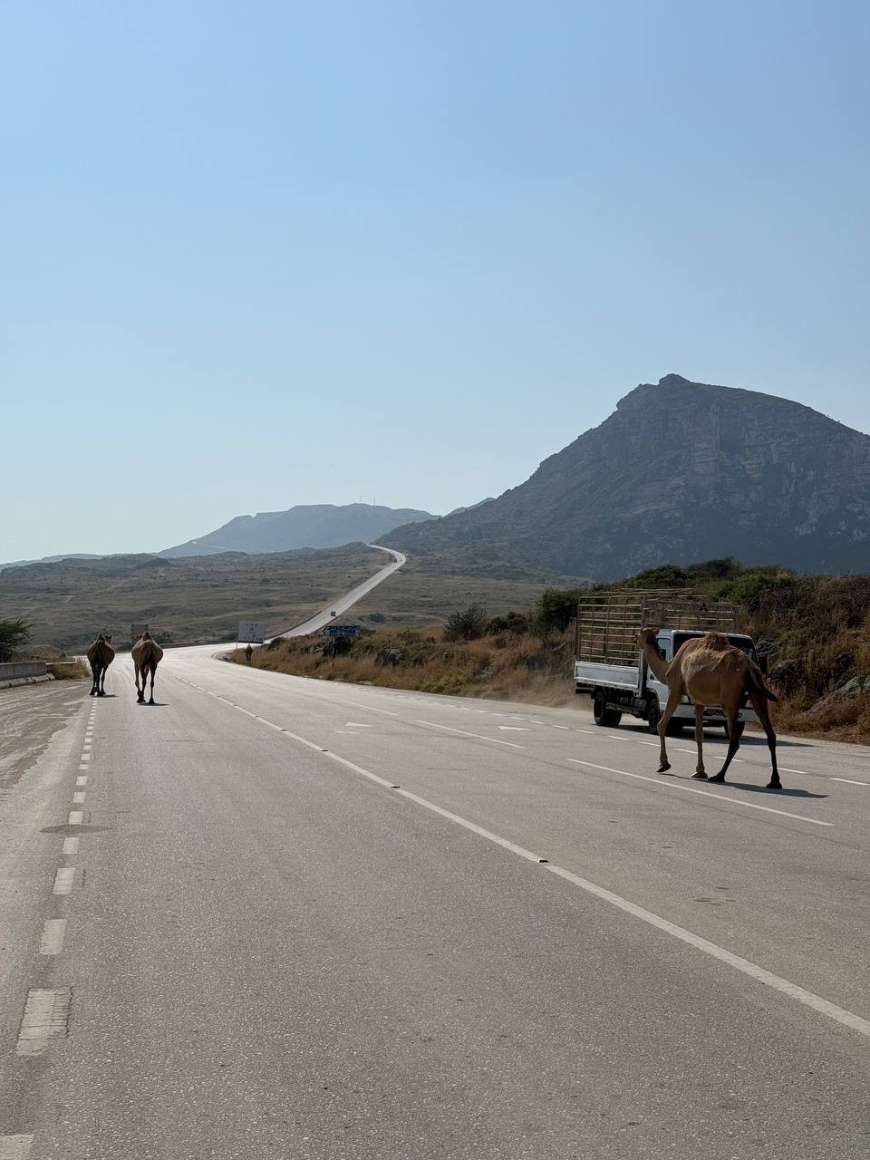 Спасибо Алексею за классное настроение, интересные места и подробные рассказы! Всё было продумано, интересно и без