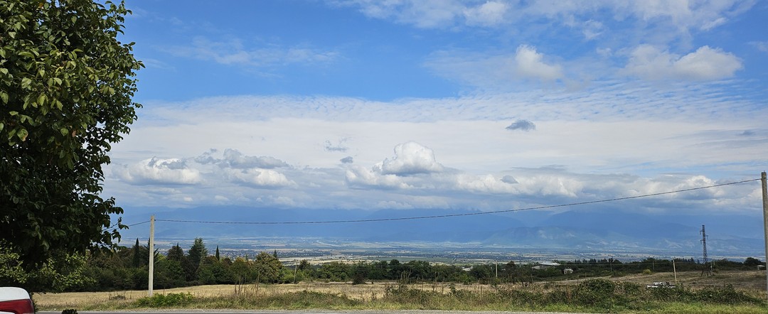 Большой день в Кахетии (Татьяна)
