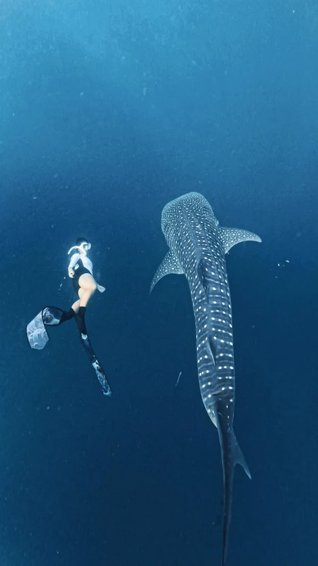 Снорклинг на острове Сумбава: активный мини-тур без экскурсий