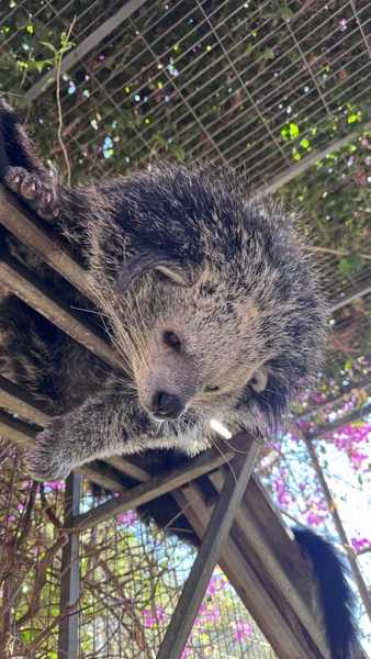 гид Михаил просто восторг, окружил заботой, ни о чем не парились, на родельбане покатались, зверушек погладили