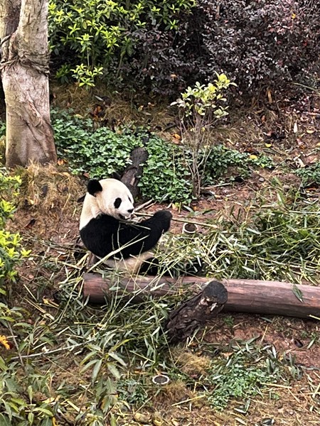 Отличная экскурсия! Организатор пунктуален и всегда на связи. Утром встретил нас в гостинице и в очень
