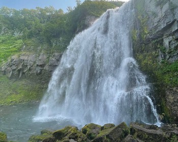 Дикая Камчатка