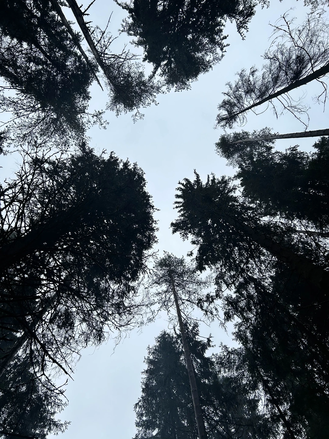 Карелия из Санкт-Петербурга: водопады, Рускеала и тот самый ретропоезд (Наталия)