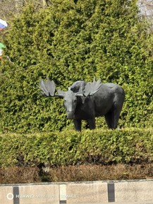 Фото отзыва 4: экскурсия ""