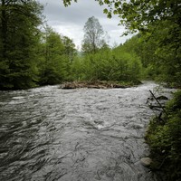 Фото отзыва 2: экскурсия "Сказочные водопады Красной Поляны"