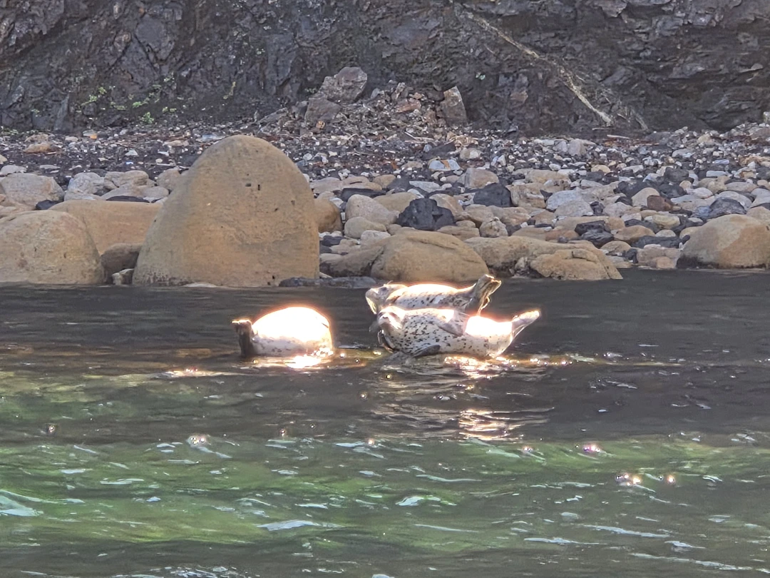 Тот самый маяк Анива (Оксана)