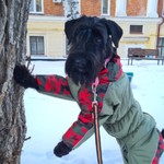 Людмила